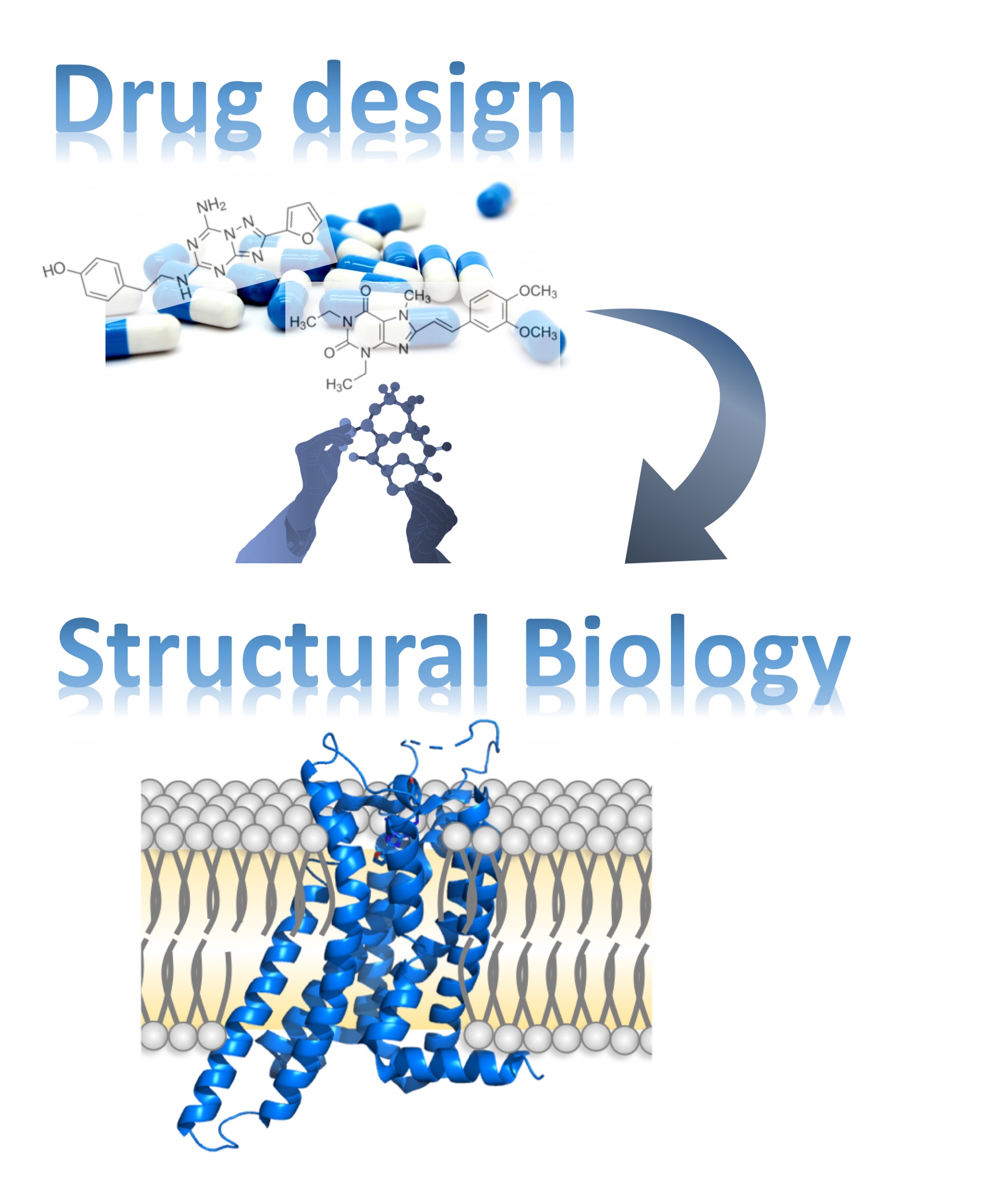 薬の標的となる膜タンパク質の立体構造解明と創薬