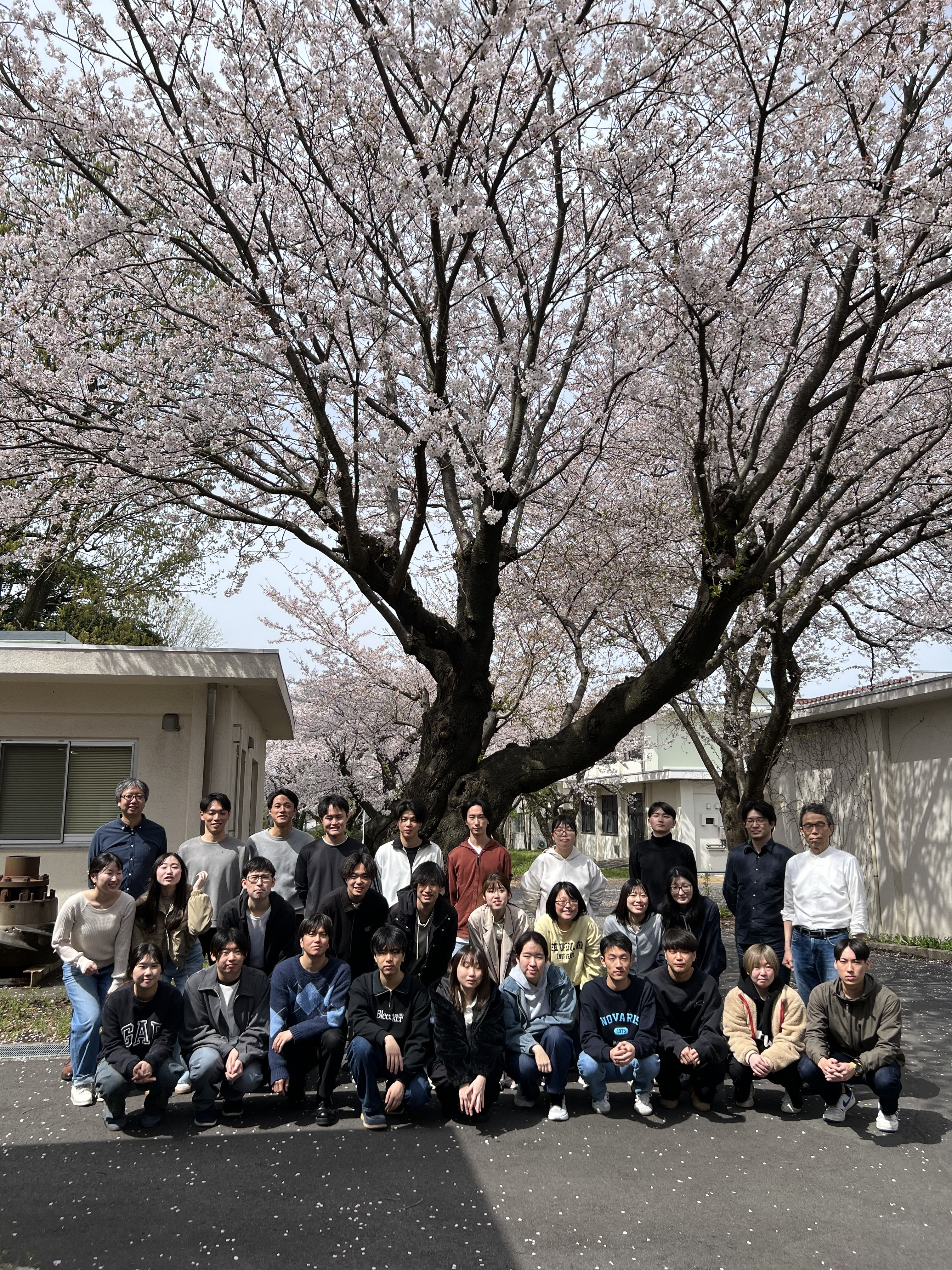 集合写真